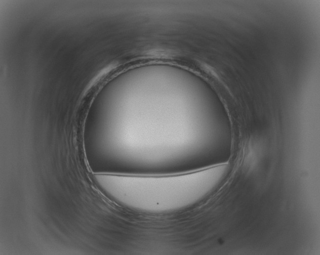 X0000081491307200701121101