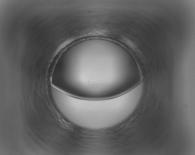 X0000081491308200701121101