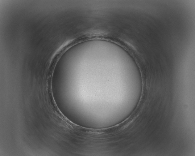 X0000081491309200701121101