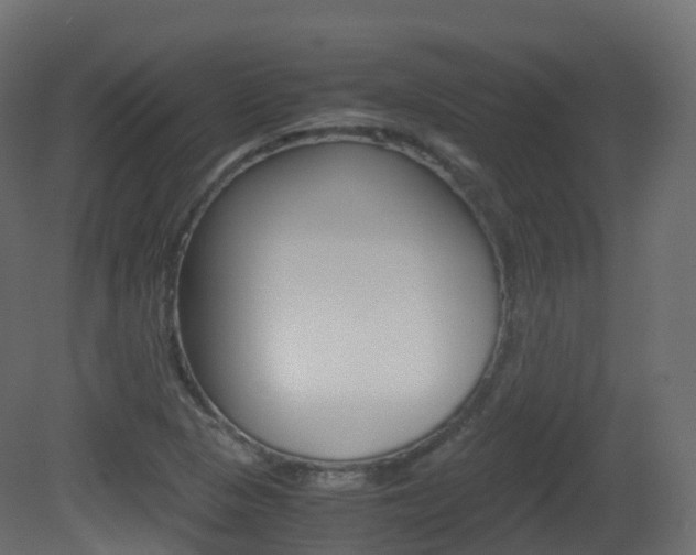 X0000081491313200701121101