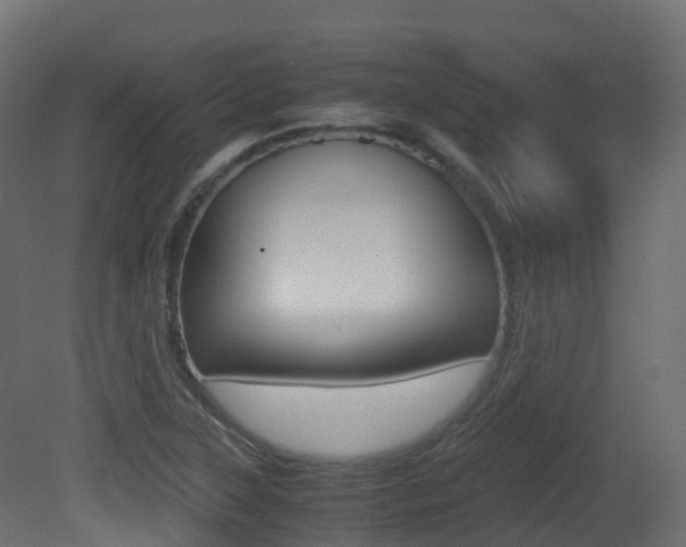 X0000081491315200701121102