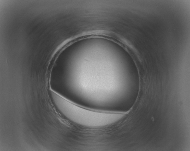 X0000081491316200701121102