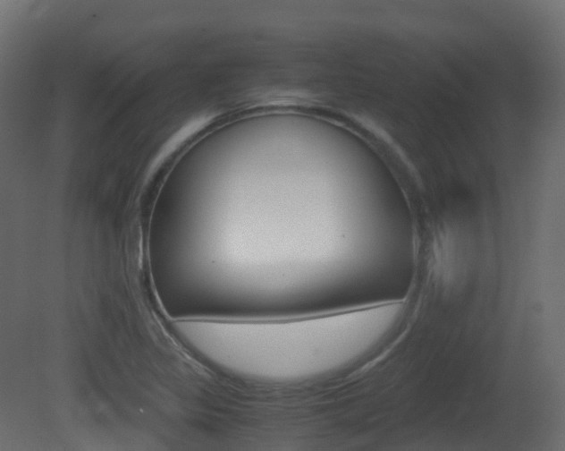 X0000081491317200701121102