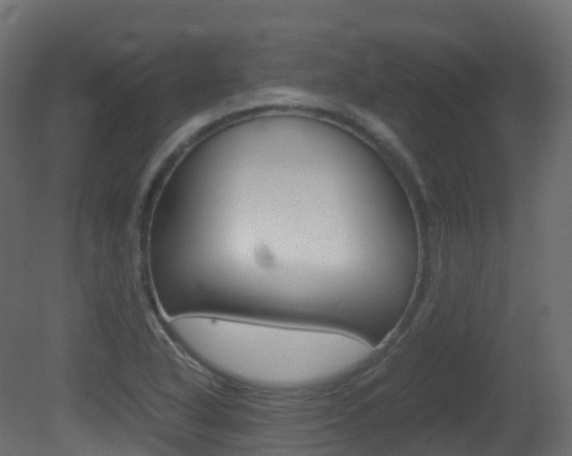 X0000081491318200701121102