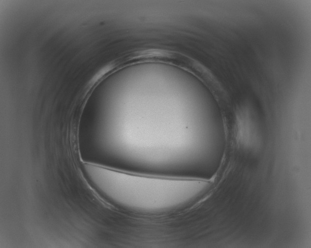 X0000081491321200701121102