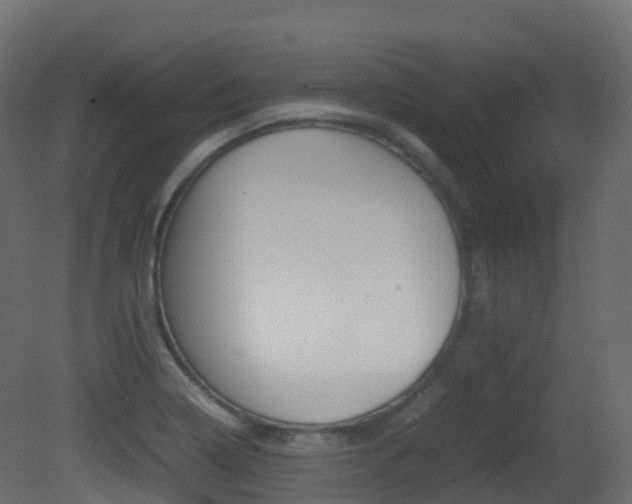 X0000081491322200701121102