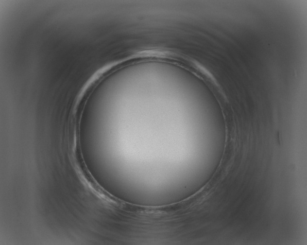 X0000081491323200701121102