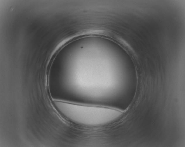 X0000081491324200701121102