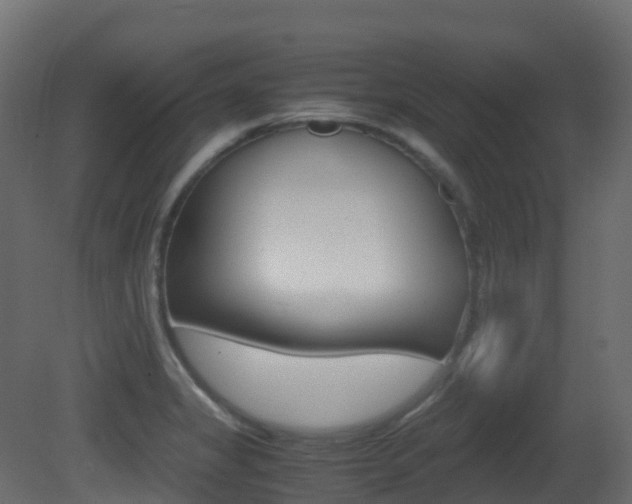 X0000081491325200701121102