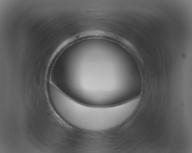 X0000081491326200701121102
