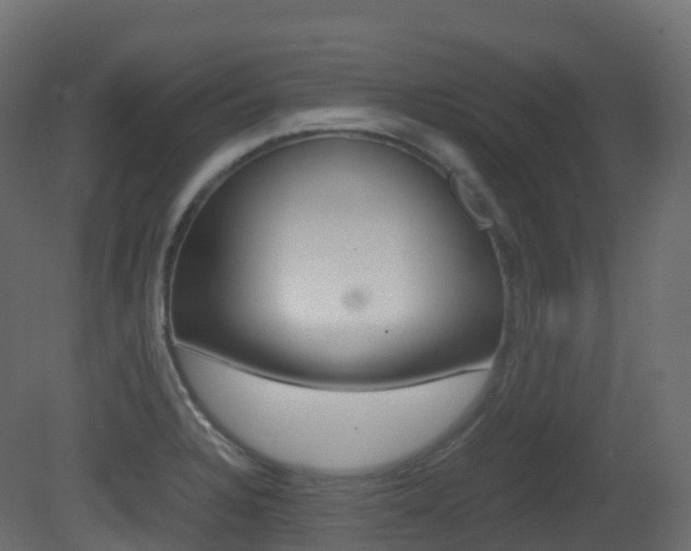 X0000081491328200701121102