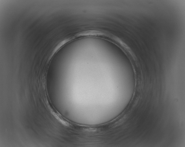 X0000081491329200701121102