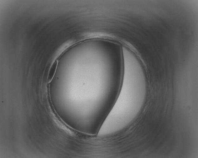 X0000081491330200701121102