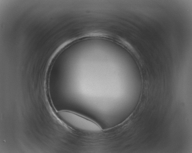 X0000081491331200701121102