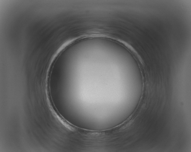 X0000081491333200701121102