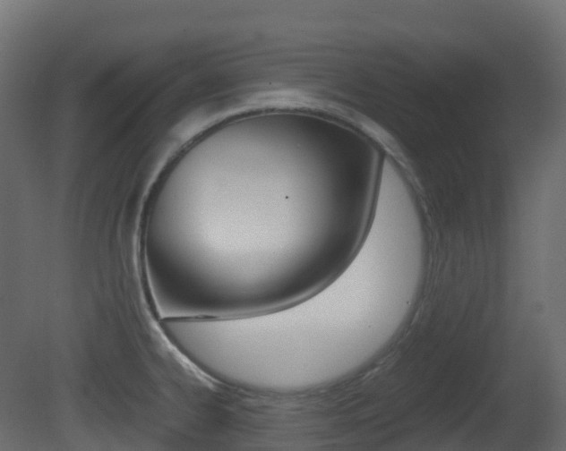 X0000081491334200701121102