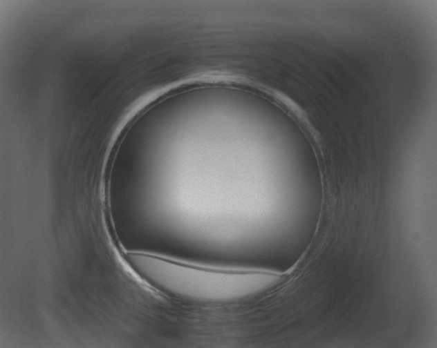 X0000081491335200701121102