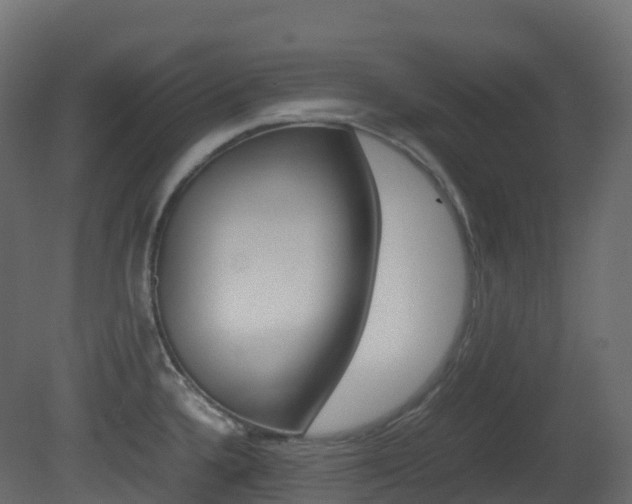 X0000081491336200701121102