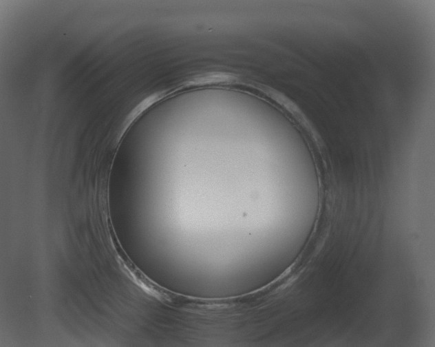X0000081491337200701121102