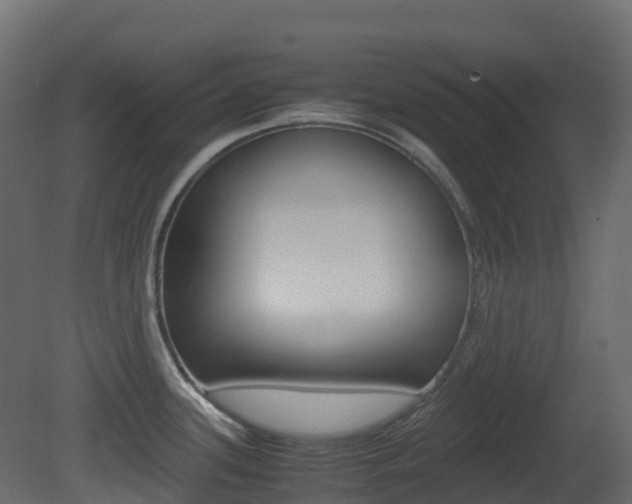 X0000081491339200701121102