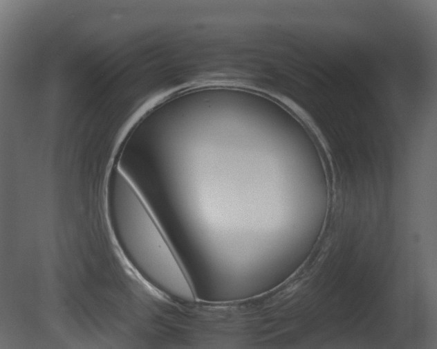 X0000081491341200701121102