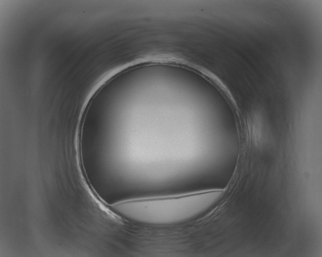 X0000081491343200701121102