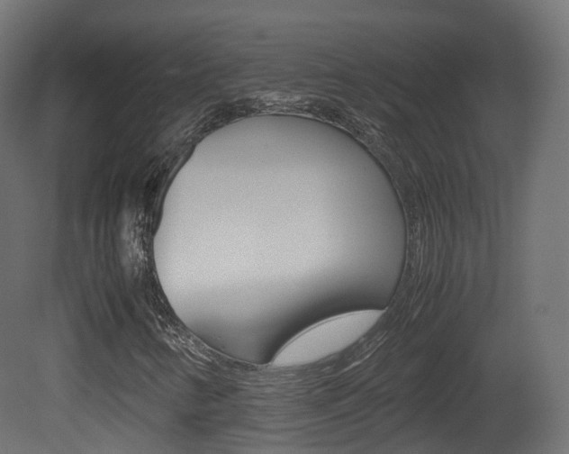 X0000081491346200701121101