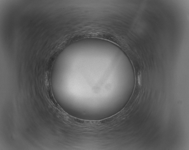 X0000081491347200701121101
