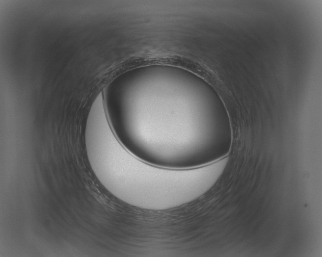 X0000081491348200701121101