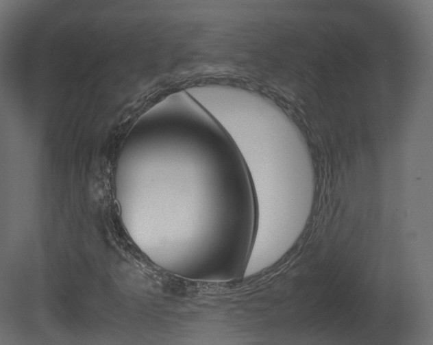 X0000081491349200701121101