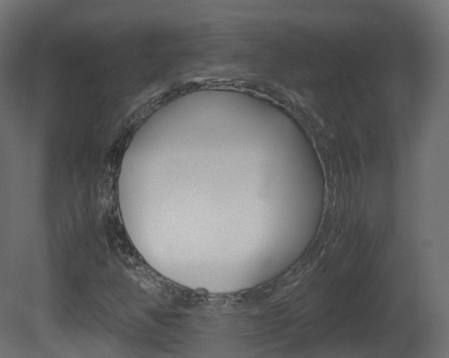 X0000081491350200701121101