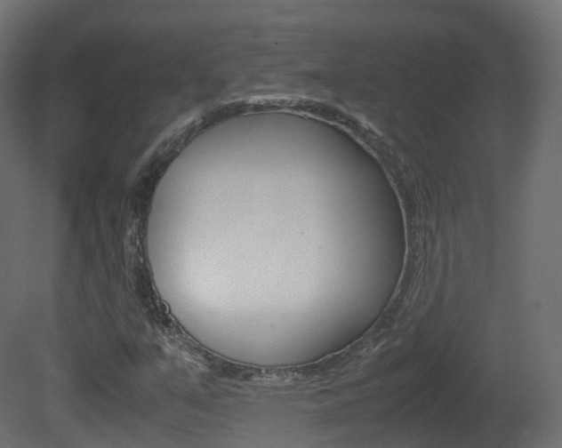 X0000081491351200701121101