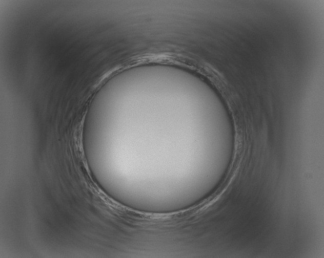 X0000081491353200701121101
