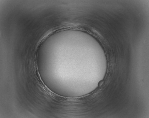 X0000081491354200701121101