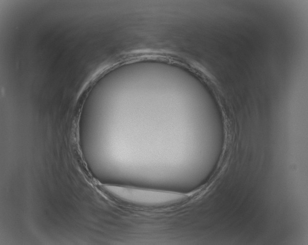 X0000081491357200701121101