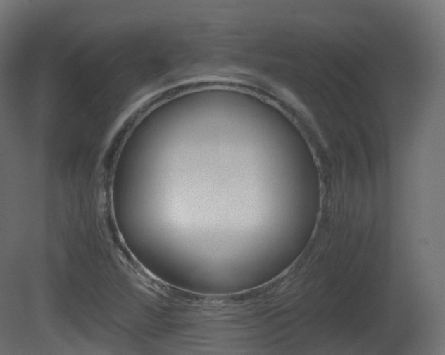 X0000081491360200701121101