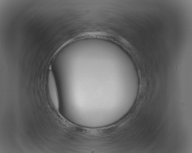 X0000081491361200701121101