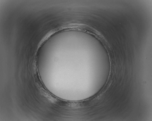 X0000081491362200701121101