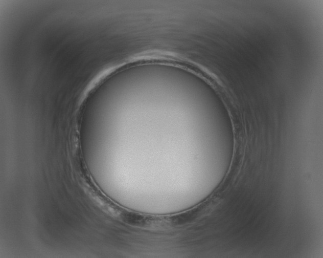 X0000081491363200701121101