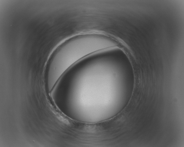X0000081491364200701121101