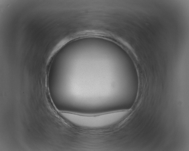 X0000081491365200701121101