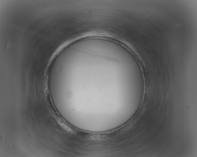 X0000081491366200701121101