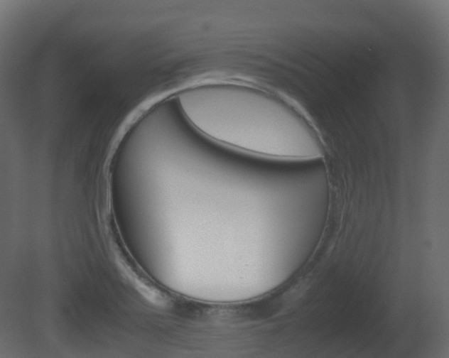 X0000081491371200701121101