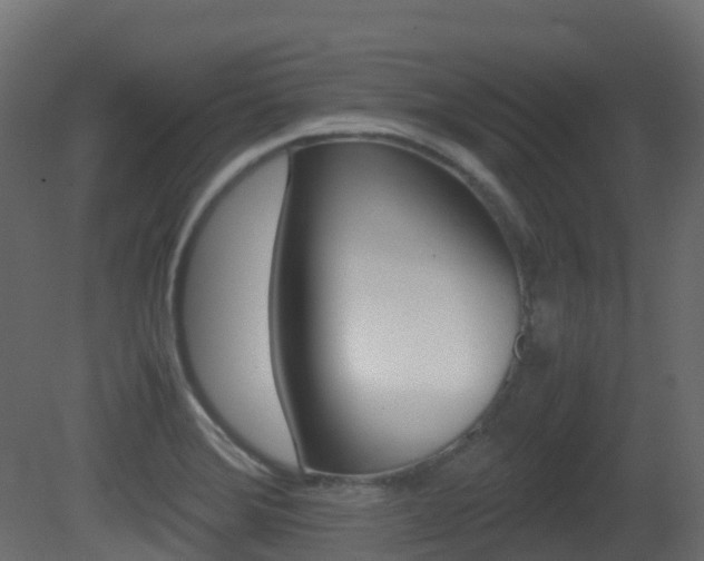 X0000081491372200701121101