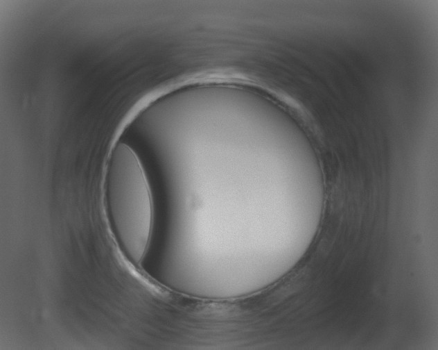 X0000081491374200701121101