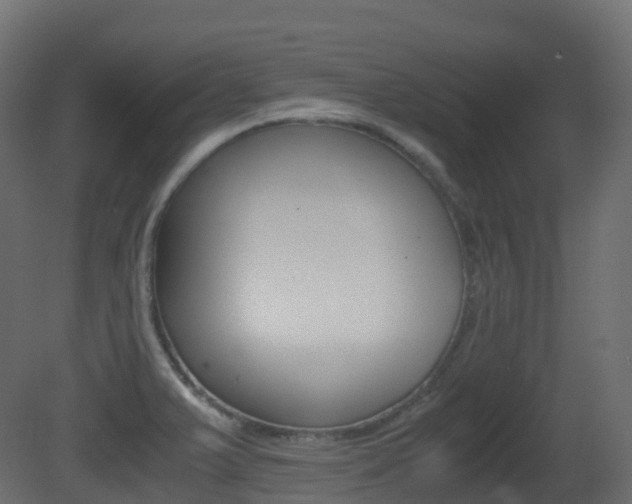 X0000081491375200701121101