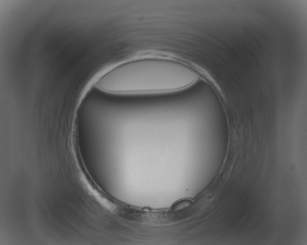 X0000081491379200701121101