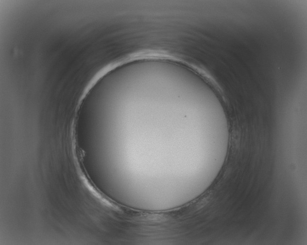 X0000081491382200701121101