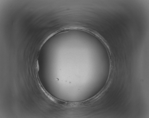 X0000081491385200701121101