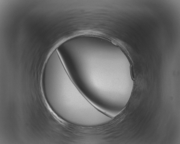 X0000081491391200701121100